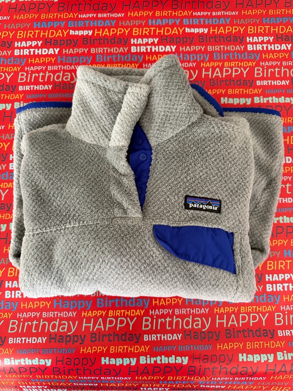 Patagonia Fleece Pullover
